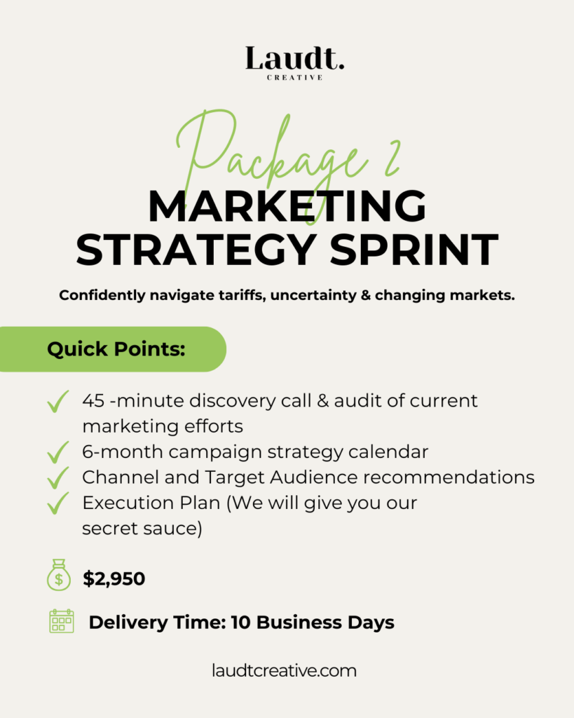 Package 2 (Marketing Strategy Sprint)