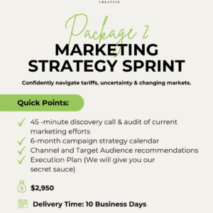 Package 2: Marketing Strategy Sprint